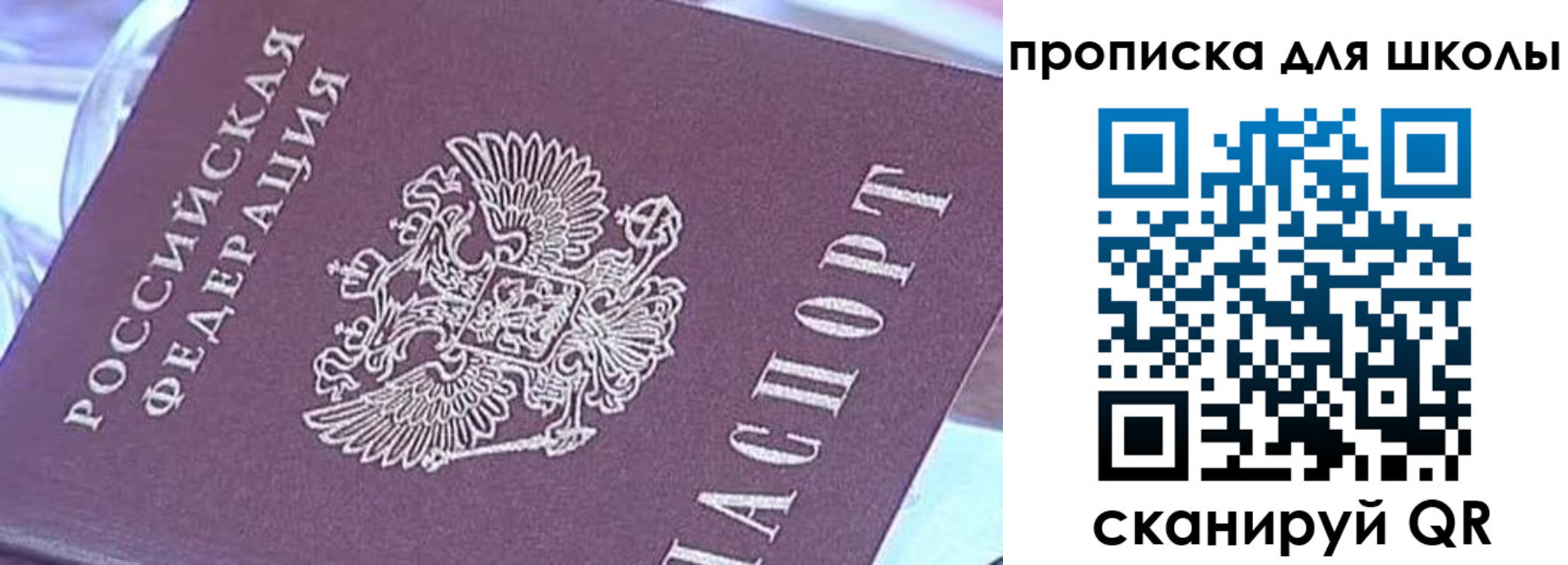 найти адрес прописки в Вольске